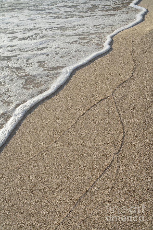 Traces Of Waves In The Fine Sand Photograph