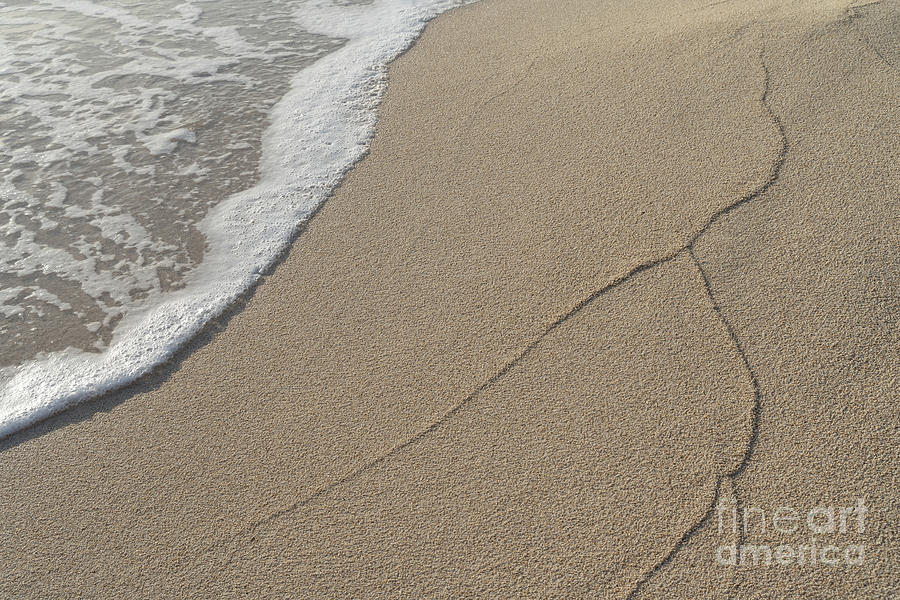 Traces of waves on the sandy beach. Sea water meets beige sand 2 Photograph by Adriana Mueller