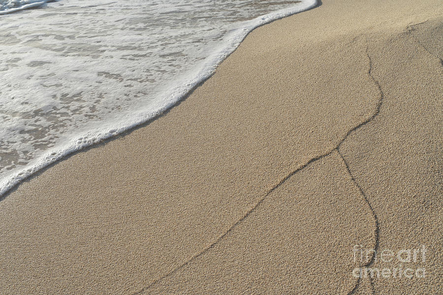 Traces of waves on the sandy beach. Sea water meets beige sand 1 Photograph by Adriana Mueller