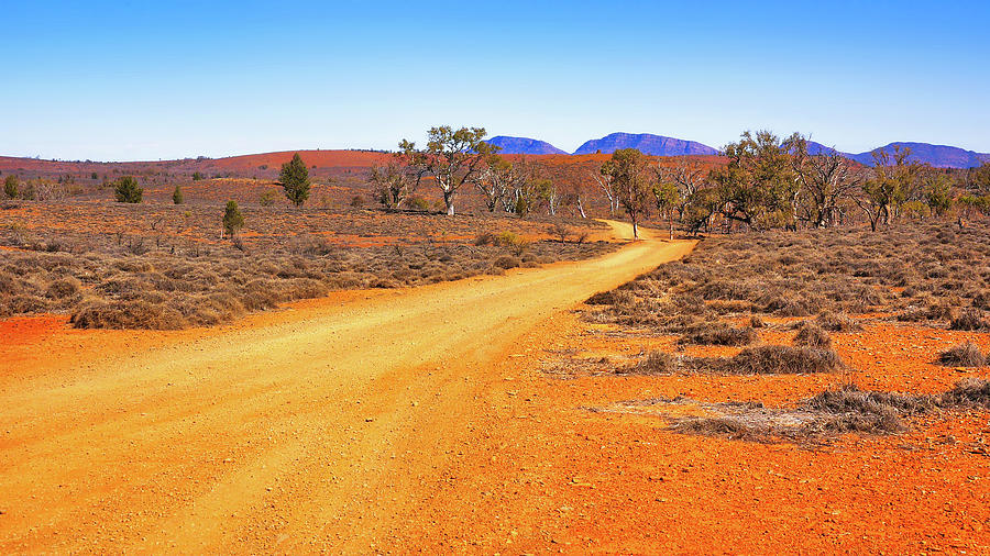 Track in the Outback 2 Photograph by Lexa Harpell
