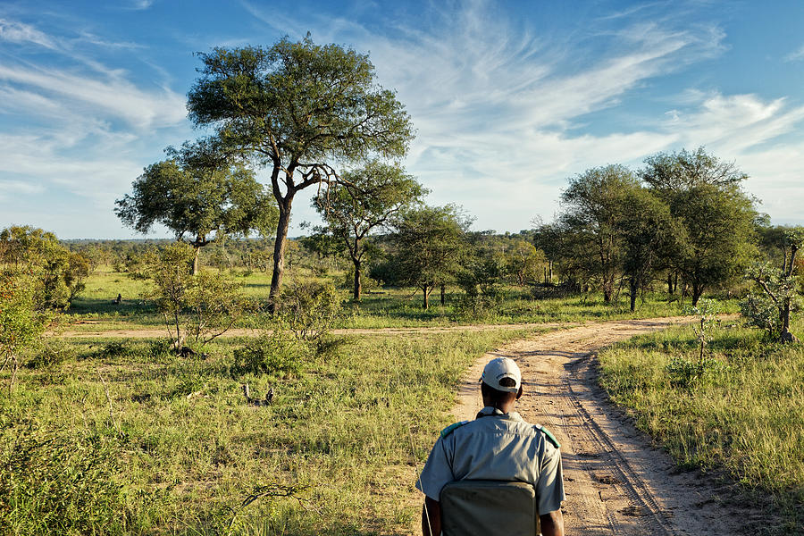 Tracker on the end of a safari vehicle in Klaserie Reserve, Greater Kruger National Park Photograph by Mark Meredith
