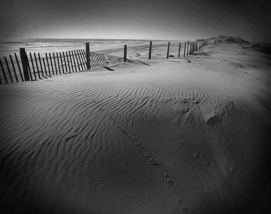 Tracks in Pea Island Sand Dune  Photograph by James C Richardson