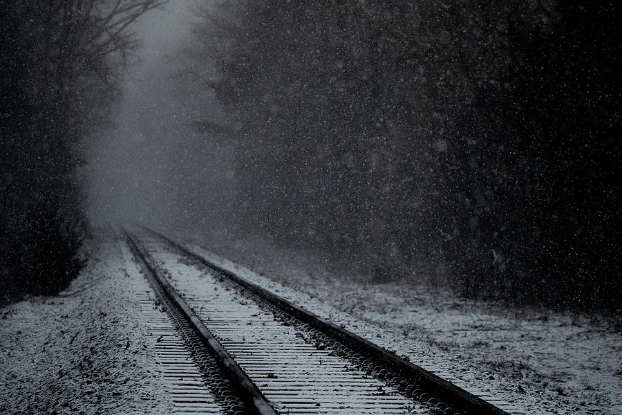 Tracks in the Snow Photograph by Denise Kopko