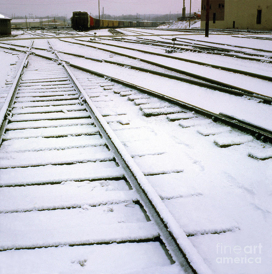 Tracks In The Snow Photograph by Ron Long