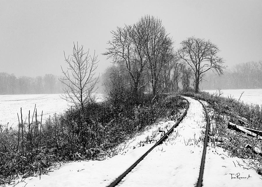 Tracks in the Snow Photograph by Tom Romeo