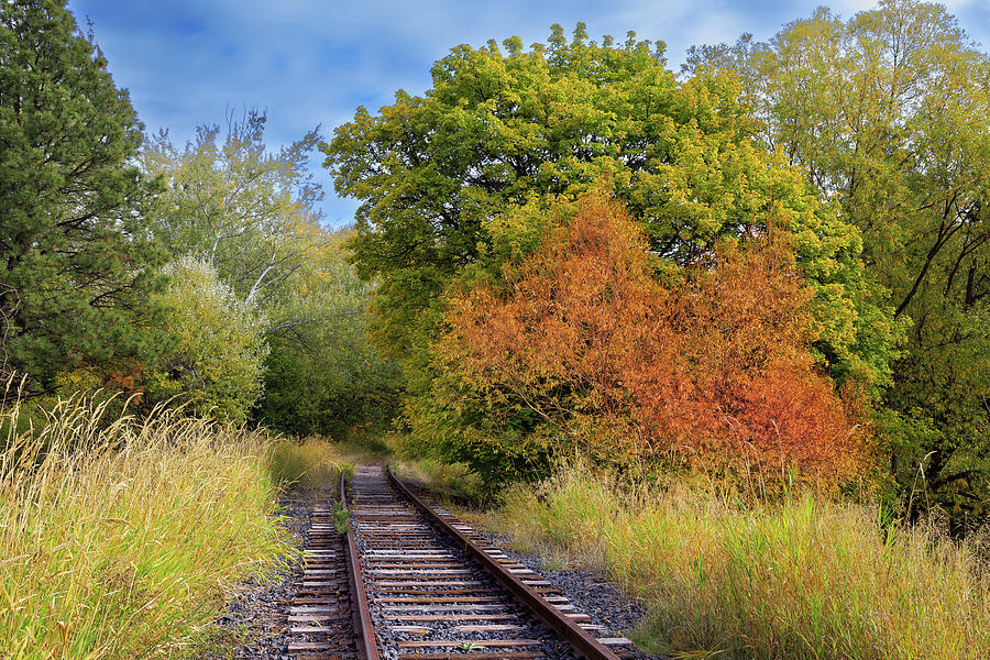 Tracks Less Traveled Photograph by David Patterson
