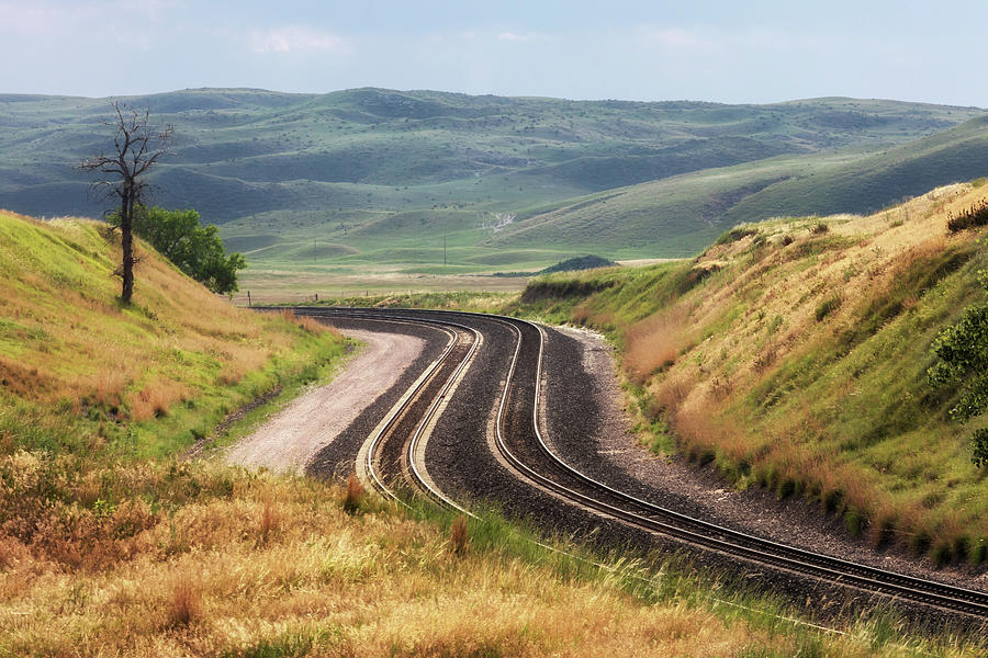 Tracks Through the Sandhills - Sandhills Journey Photograph by Susan Rissi Tregoning