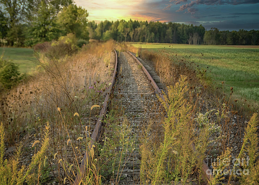 Tracks to Nowhere Photograph by Janice Pariza