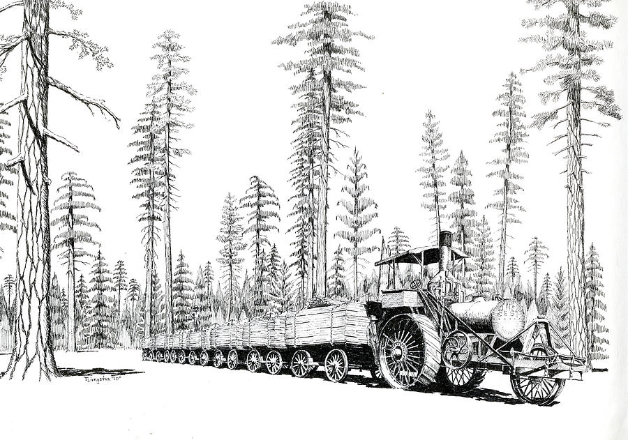 Traction Engine Hauling Lumber Drawing by Timothy Livingston