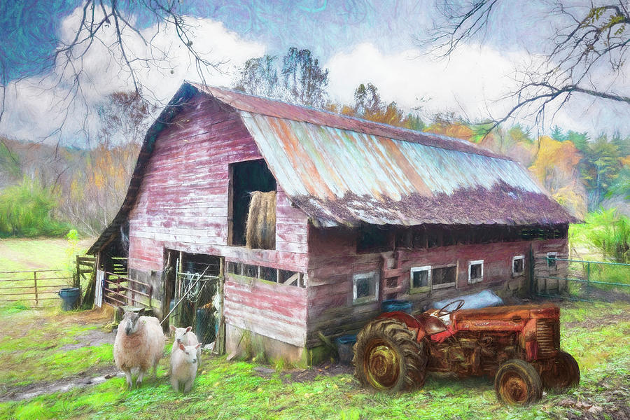 Tractor at the Sheep Farm Painting Photograph by Debra and Dave Vanderlaan