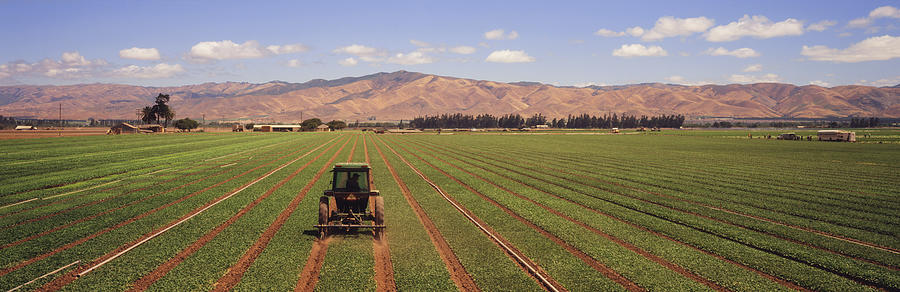 Tractor cultivating between wide rows of spinach Photograph by Timothy Hearsum