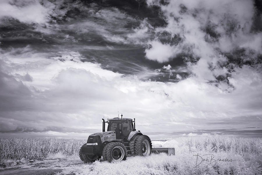 Tractor In A Corn Field 9795 Photograph