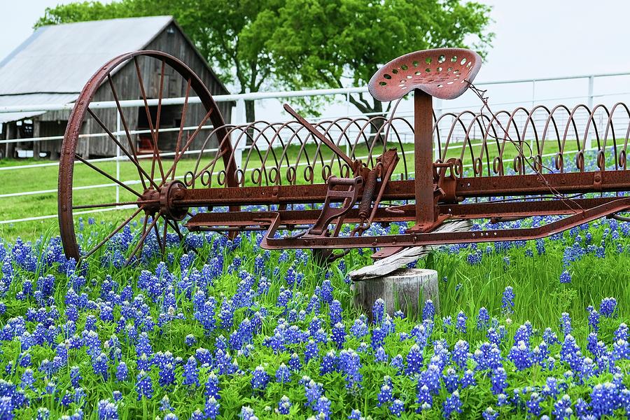 Tractor in Bluebonnets  Photograph by Robert Bellomy