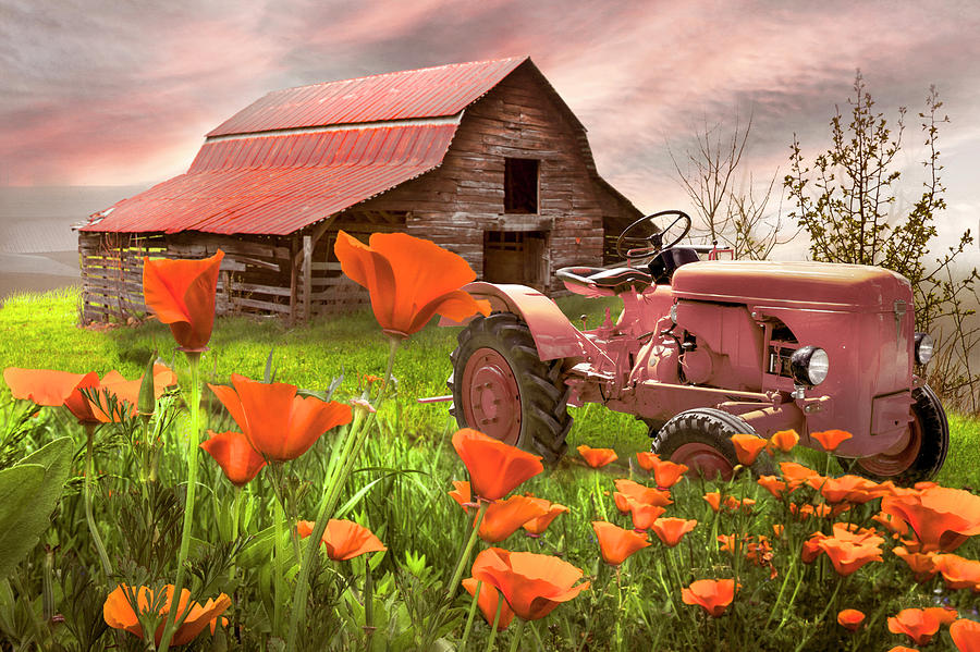 Tractor in Farmhouse Poppies Photograph by Debra and Dave Vanderlaan