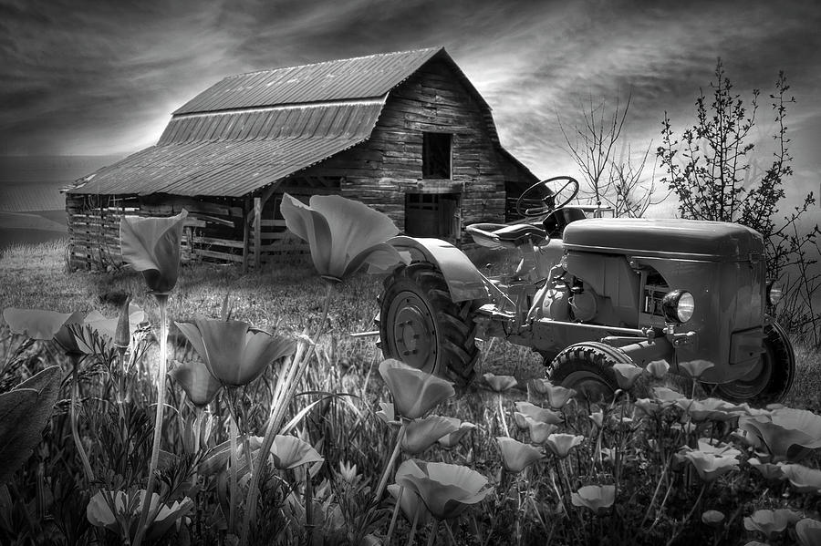 Tractor in Poppies in Black and White Photograph by Debra and Dave Vanderlaan