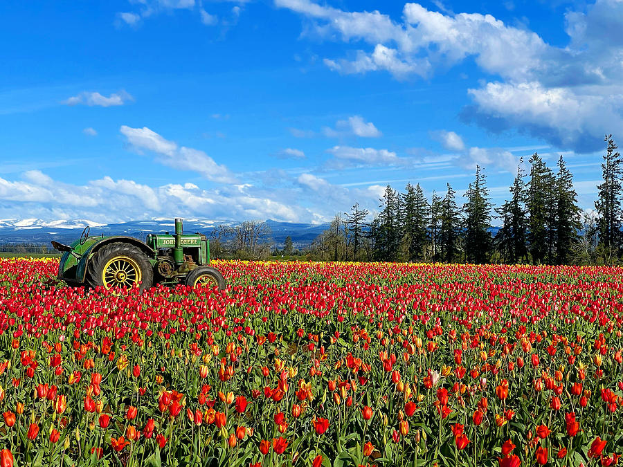 Tractor Outstanding In Its Field Photograph by Brian Eberly