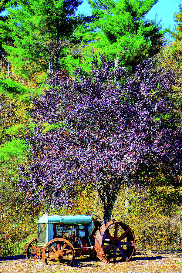Tractor Purple Tree Photograph by Rick Harmon Shutterricky Photography Collections And Tractor Purple Tree Photograph by Rick Harmon Shutterricky Photography Collections And