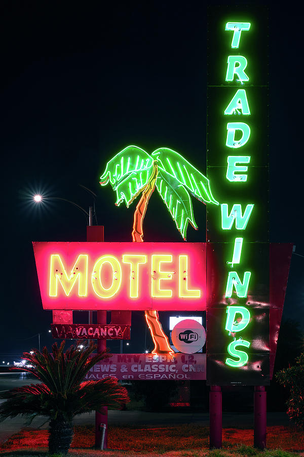 Trade Winds Neon 022420 Photograph by Rospotte Photography