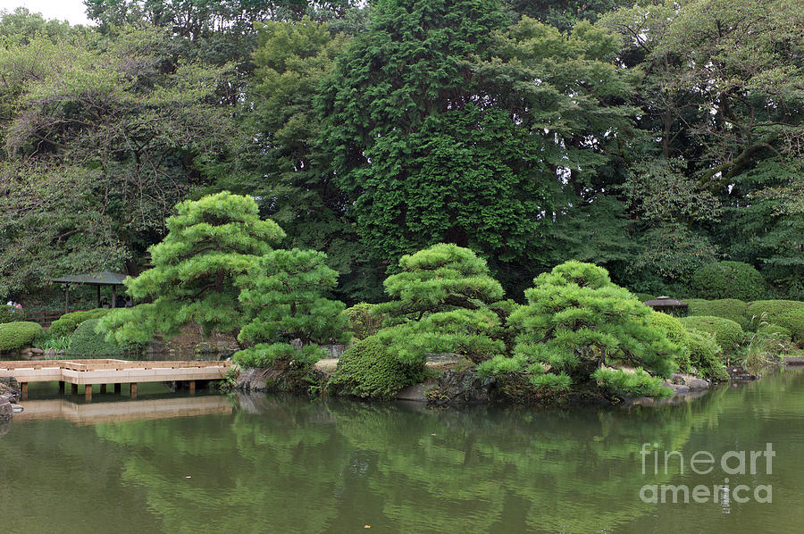 Traditional Japanese Garden Photograph