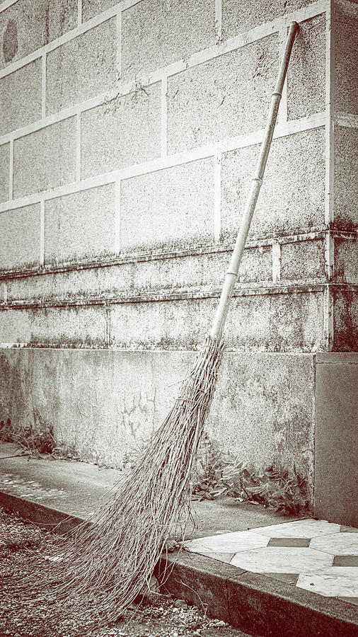 Traditional Broom Cinque Terre Italy Photograph
