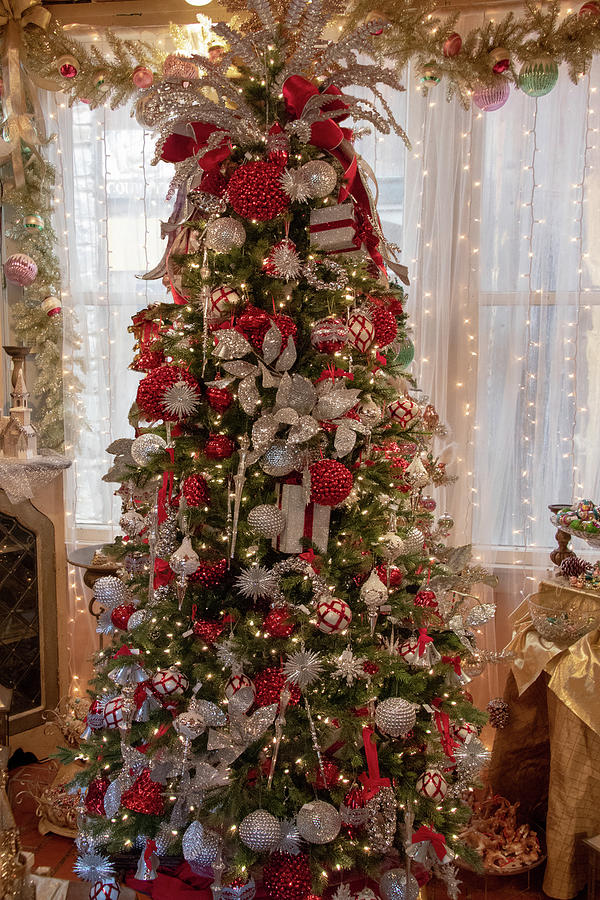 Traditional Christmas Tree Photograph by David Werner - Fine Art America