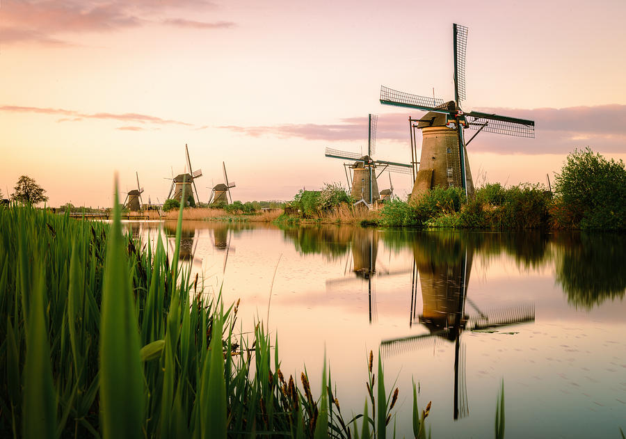 Traditional Dutch windmills at sunrise Photograph by Georgeclerk