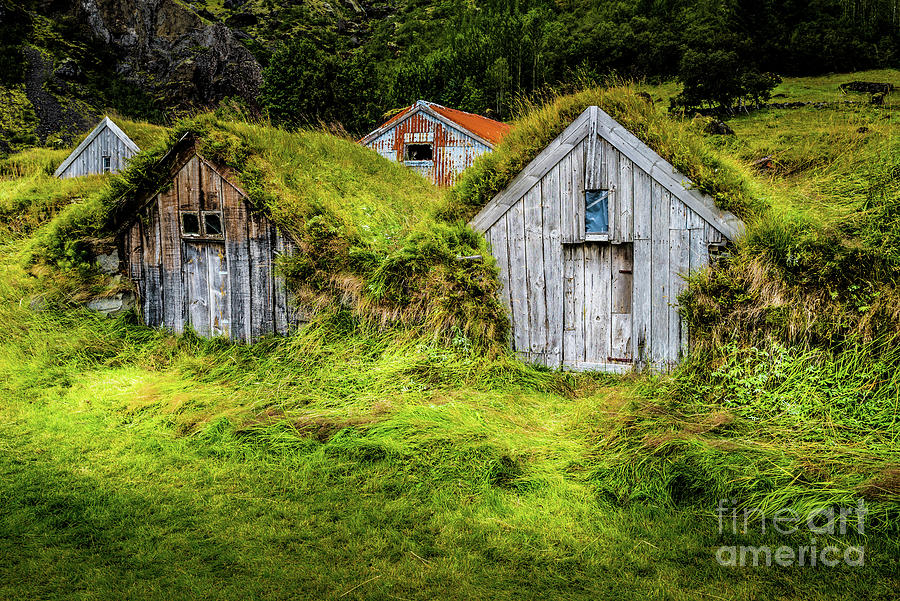 Traditional Icelandic Farm Buildings Photograph by M G Whittingham