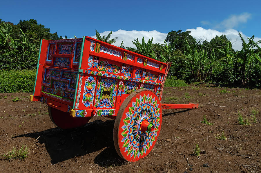 traditional ox cart of Costa Rica Photograph by Raul Cole - Fine Art ...