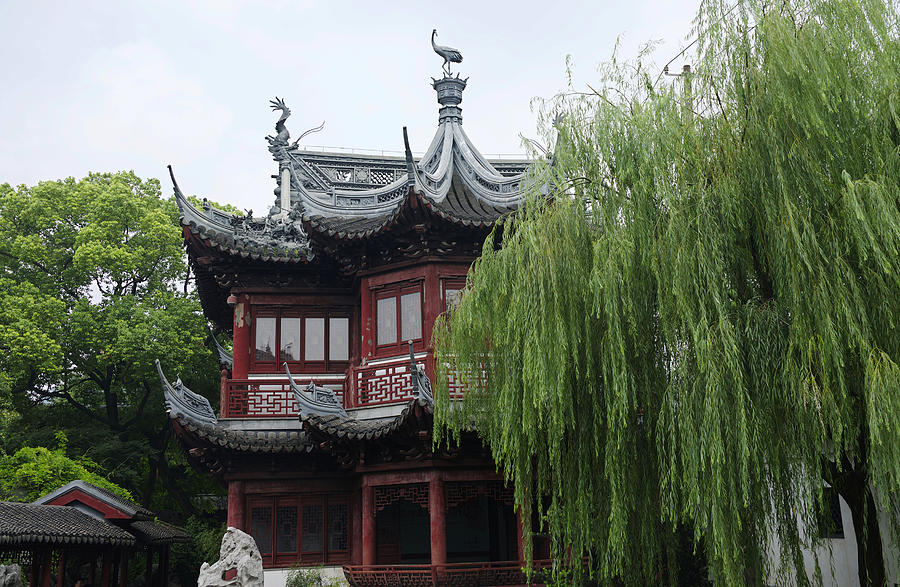 Traditional pavilion at the Yu Yuan Gardens in Shanghai Photograph by AndresGarciaM
