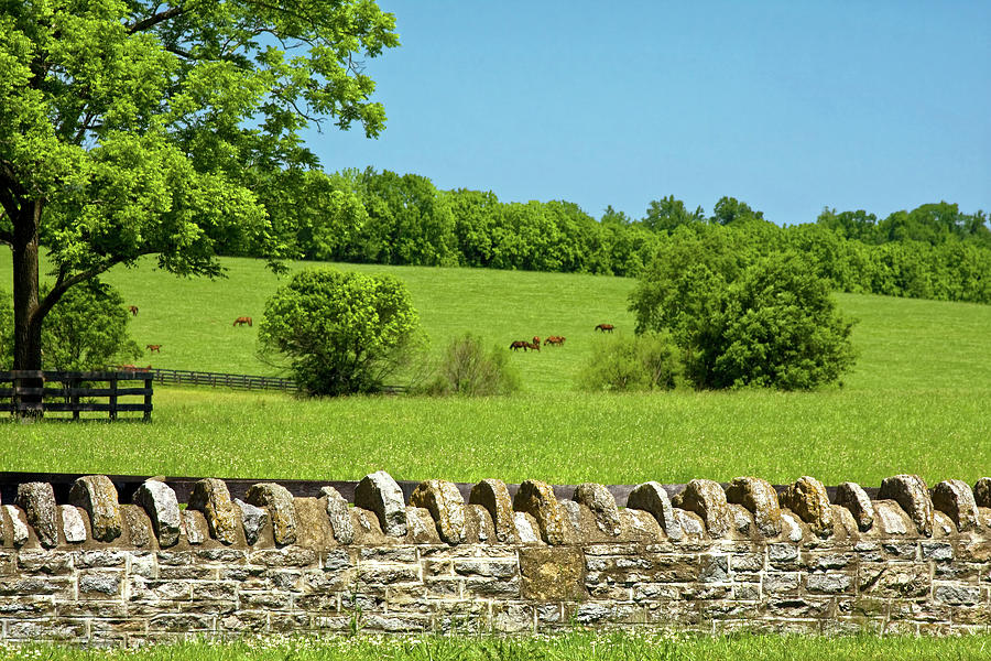 Traditional Stone Wall Photograph by Sally Weigand