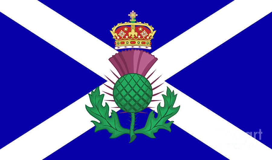 Traditional Style Thistle On The Scottish Flag Digital Art by ...