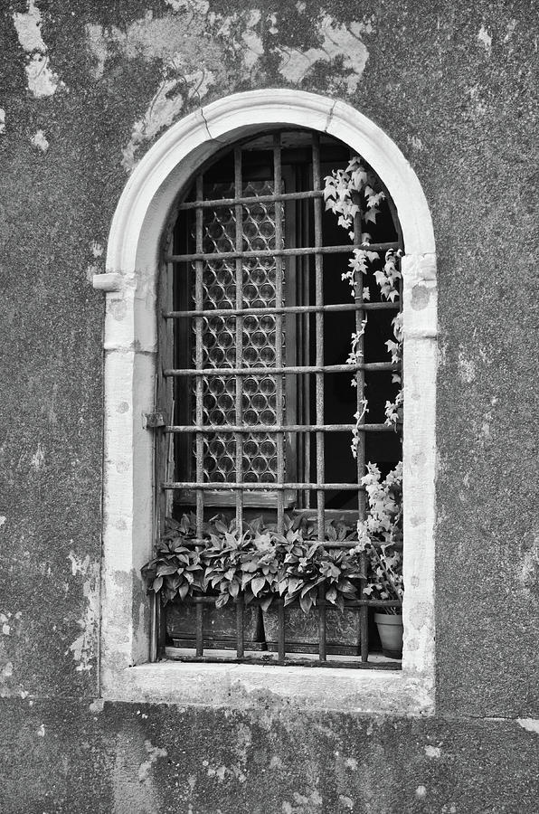 Traditionally Decorated Venetian Apartment Window in Venice Italy Black and White Photograph by Shawn OBrien