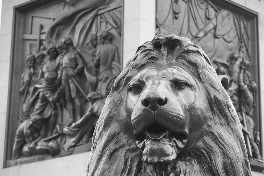 Trafalgar Square Lion Photograph by David Freund