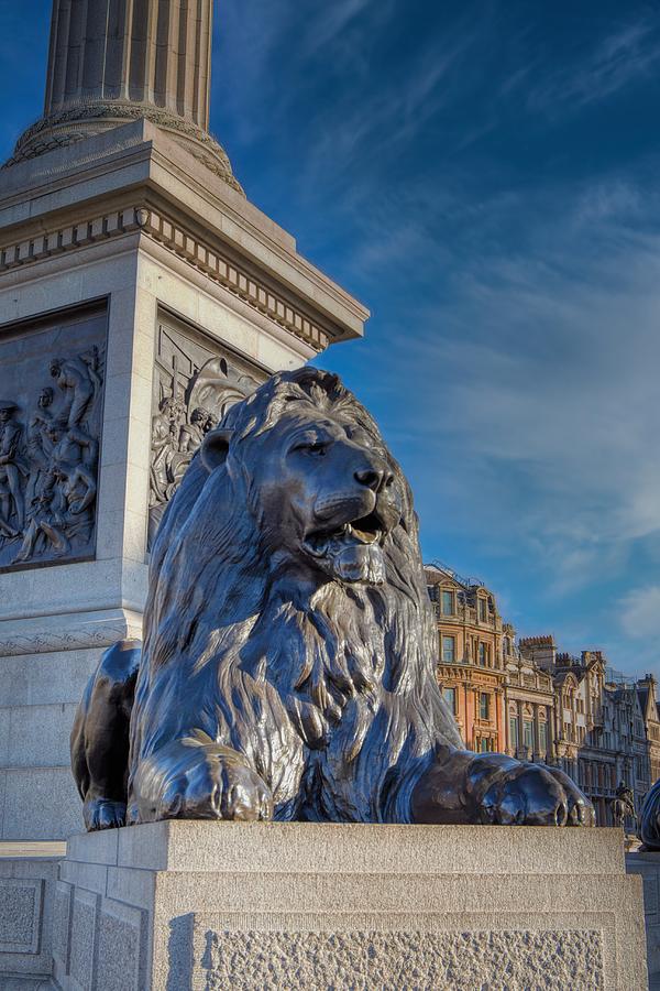 Trafalgar Square Lion Photograph by Raymond Hill