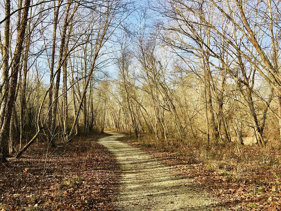 Trail in Early Winter Photograph by Debra and Dave Vanderlaan