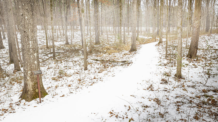 Trail In Snow Photograph by Jordan Hill