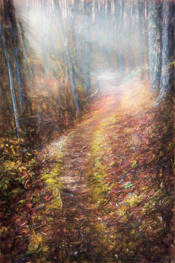 Trail in the Mist Painting Photograph by Debra and Dave Vanderlaan
