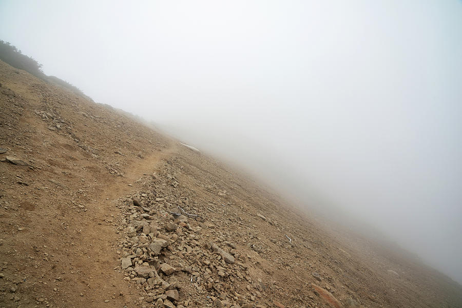 Trail into Fog Photograph by Pelo Blanco Photo