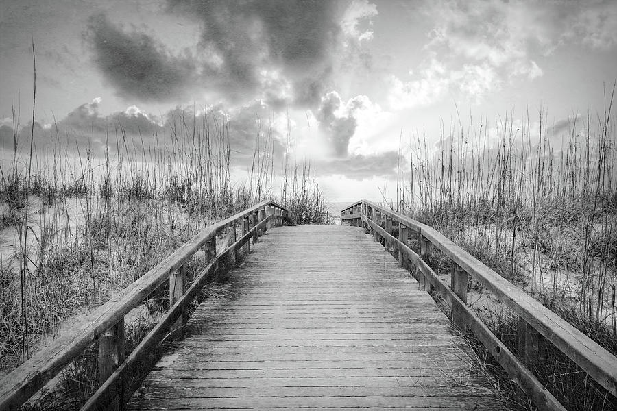 Trail into Sunrise in Black and White Photograph by Debra and Dave Vanderlaan