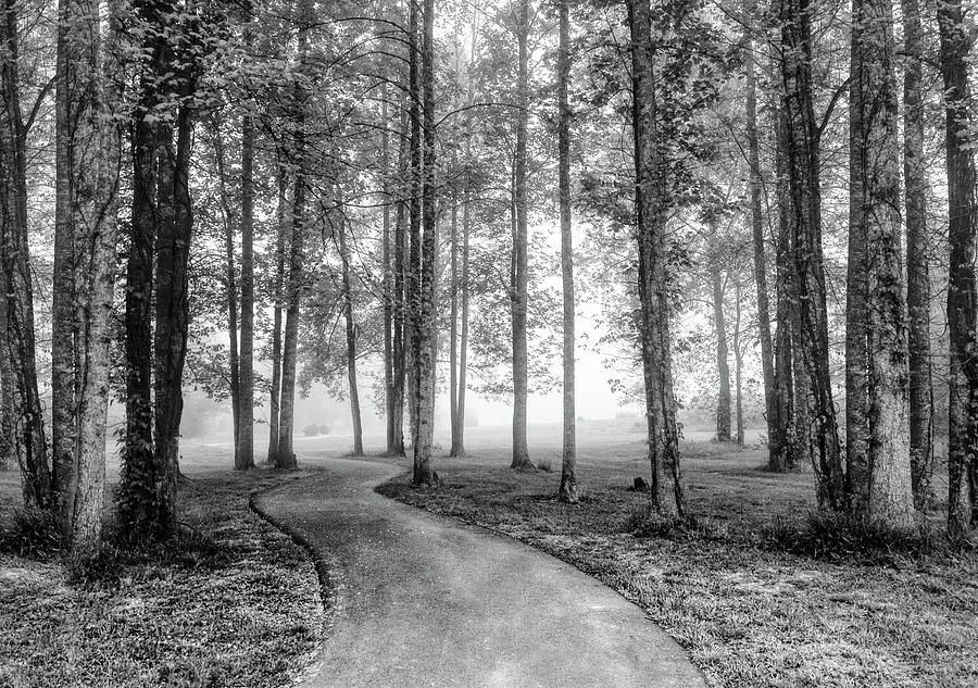 Trail into the Fog Black and White Photograph by Debra and Dave Vanderlaan