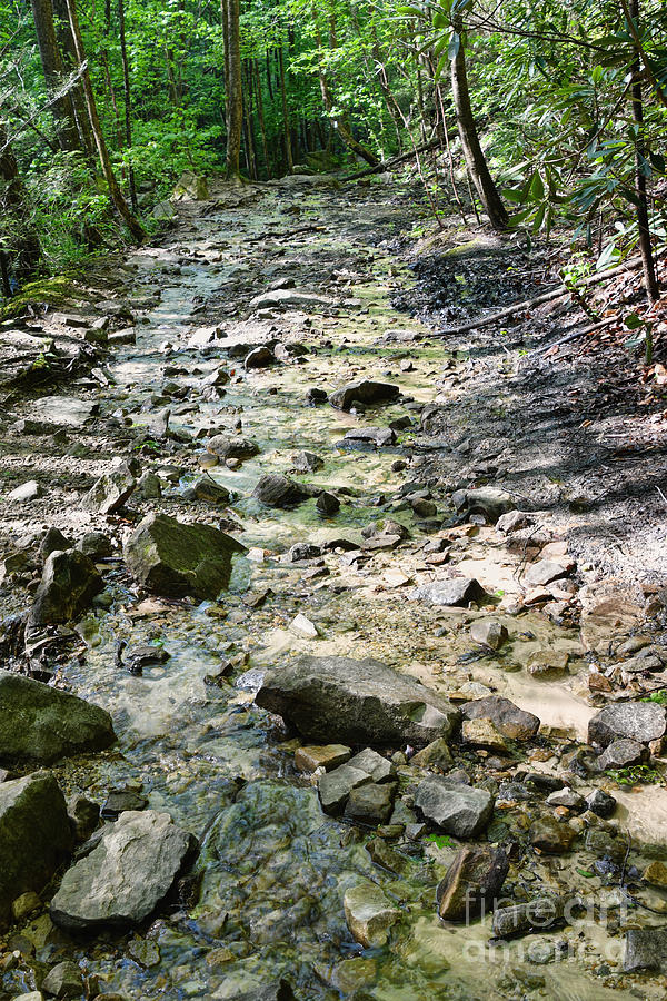 Trail Is A Creek Photograph by Phil Perkins