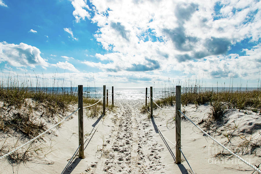 Trail of Footprints to the Beach Photograph by Beachtown Views