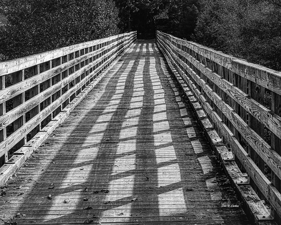 Trail of Shadows Photograph by Dale R Carlson
