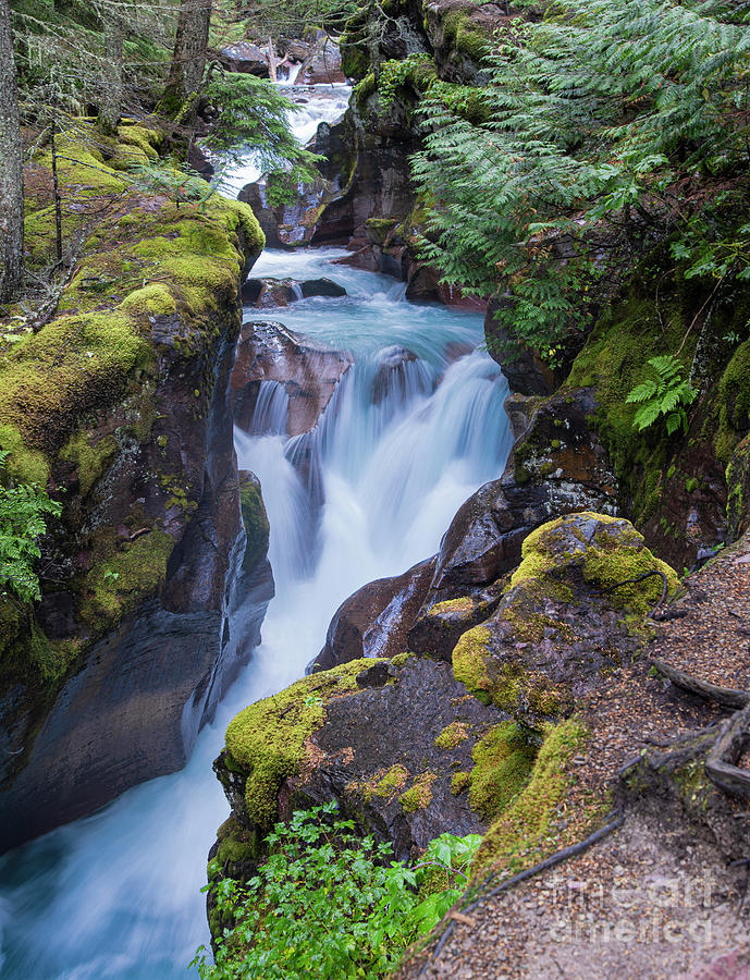 Trail of the Cedars Waterfall Glacier National Park Photograph by Wayne Moran