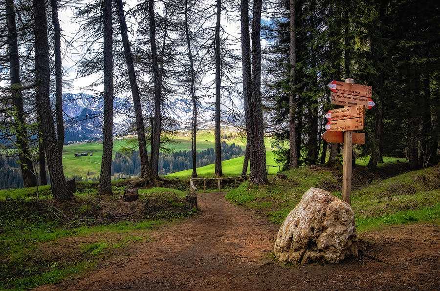 Trail Options in Alpe di Siusi Photograph by Carolyn Derstine