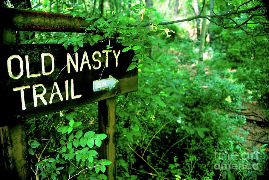 Trail sign for Old Nasty Trail at Lake Frank in Maryland Photograph by William Kuta