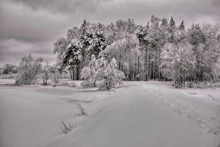 Trail To A Winter Wonderland Photograph by Dale Kauzlaric