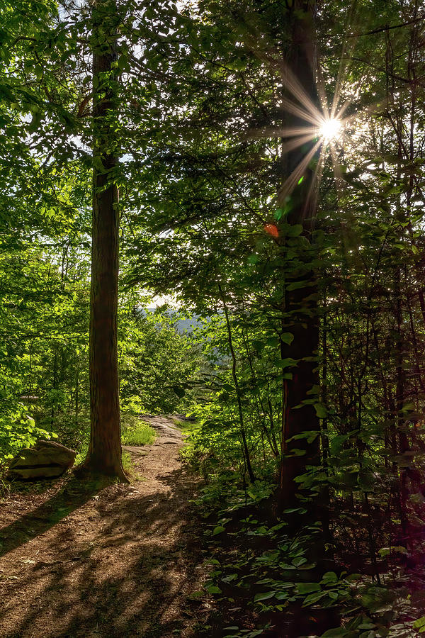 Trail to Eagles Nest Lookout, Bancroft, Ontario Photograph by John Twynam