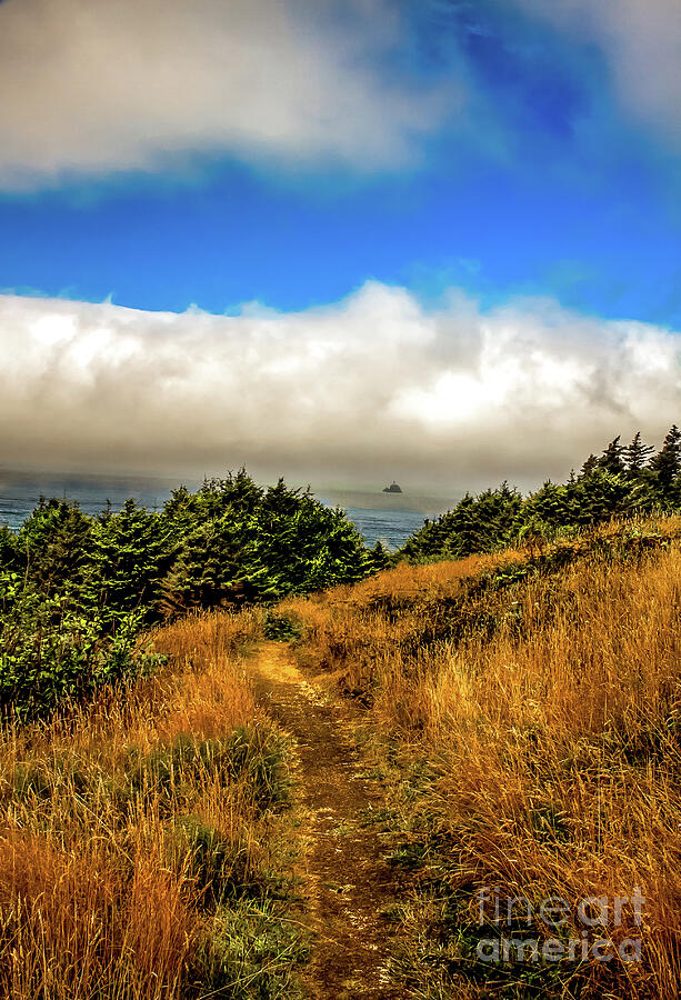 Trail To The Pacific Ocean Photograph by Robert Bales