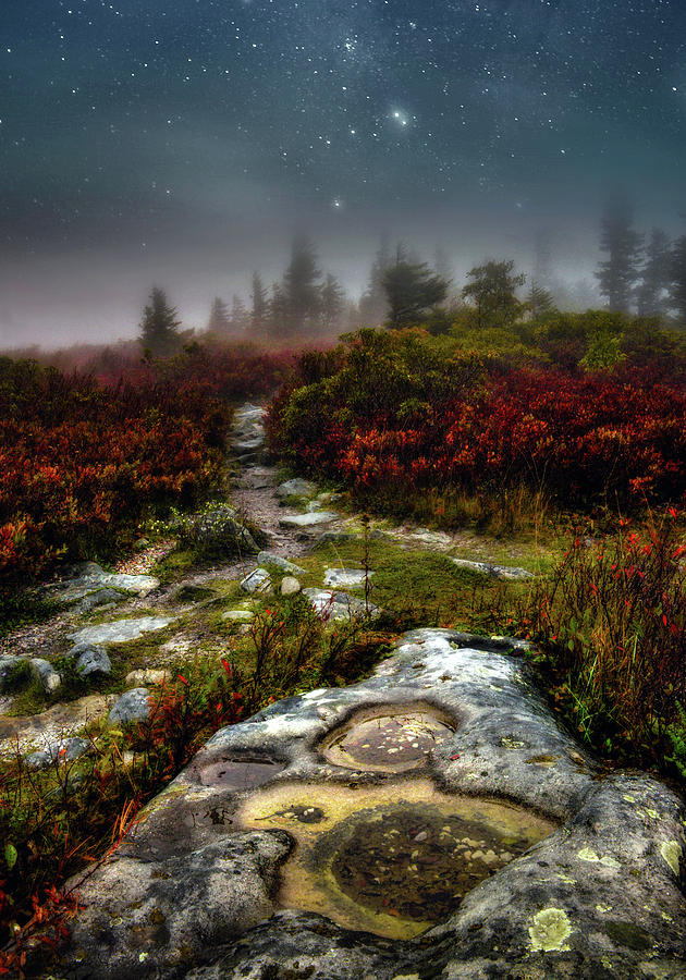 Nature Photograph - Trail to the Stars by Lisa Lambert-Shank